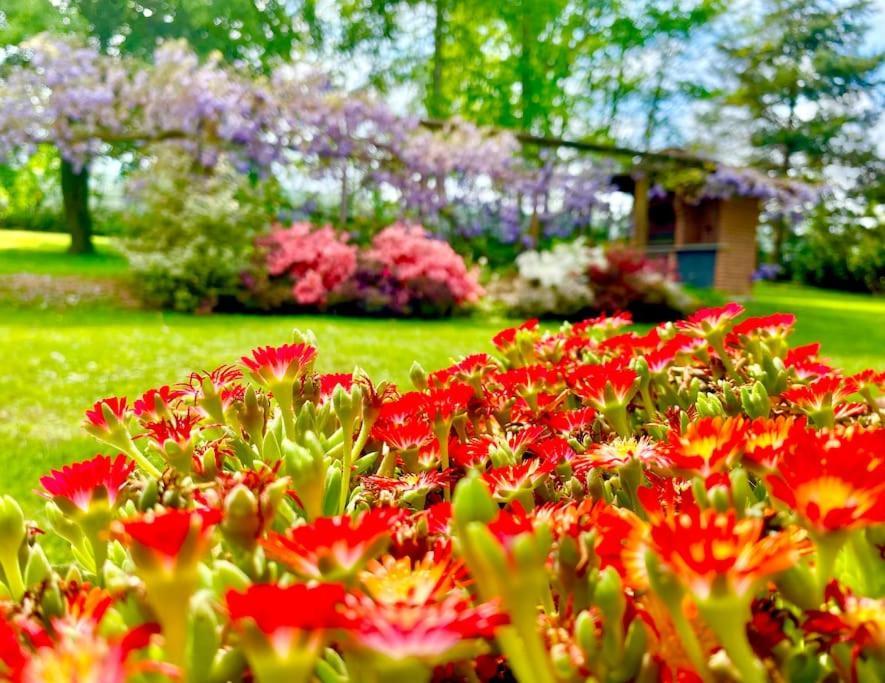 Villa Giulia - Argentera Peveragno Esterno foto